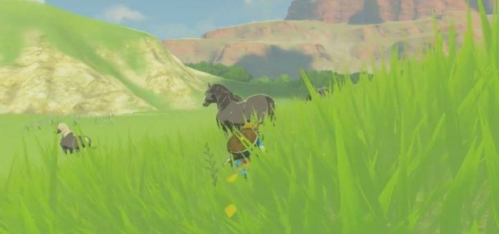 The Legend of Zelda: Breath of the Wild Money Farming Guide