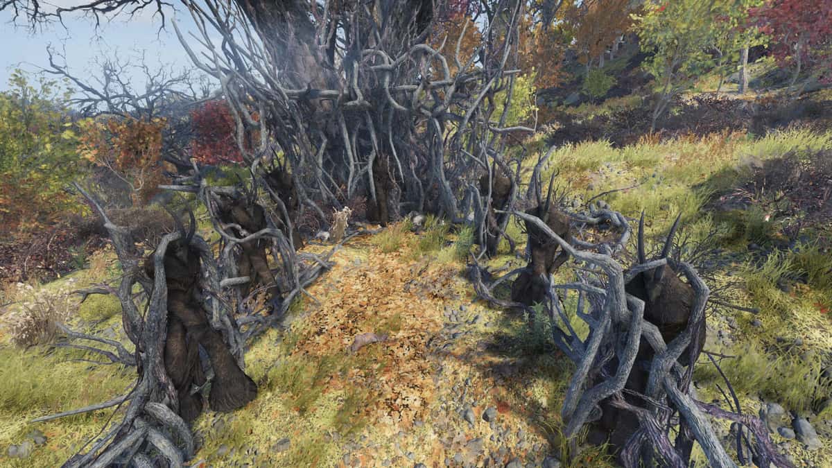 Fallout 76 Cultist Locations Guide