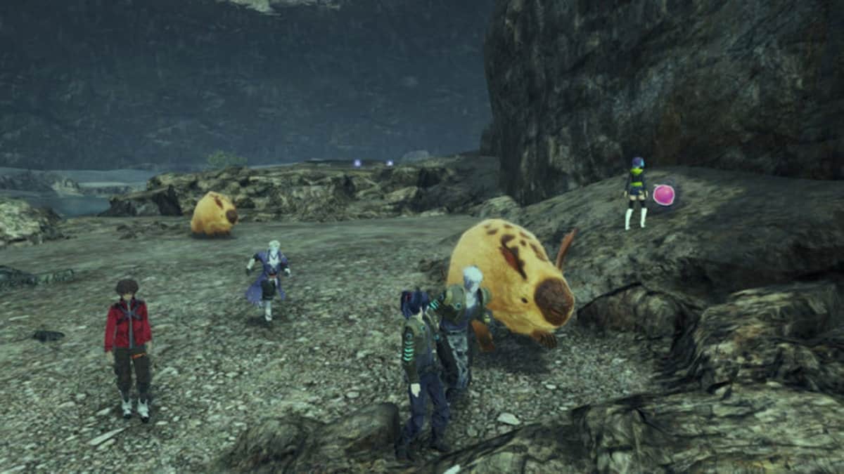 Where To Find Flier Nectar Jelly In Xenoblade Chronicles 3